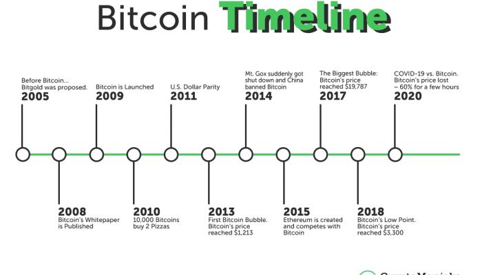 bitcoin facts 2022